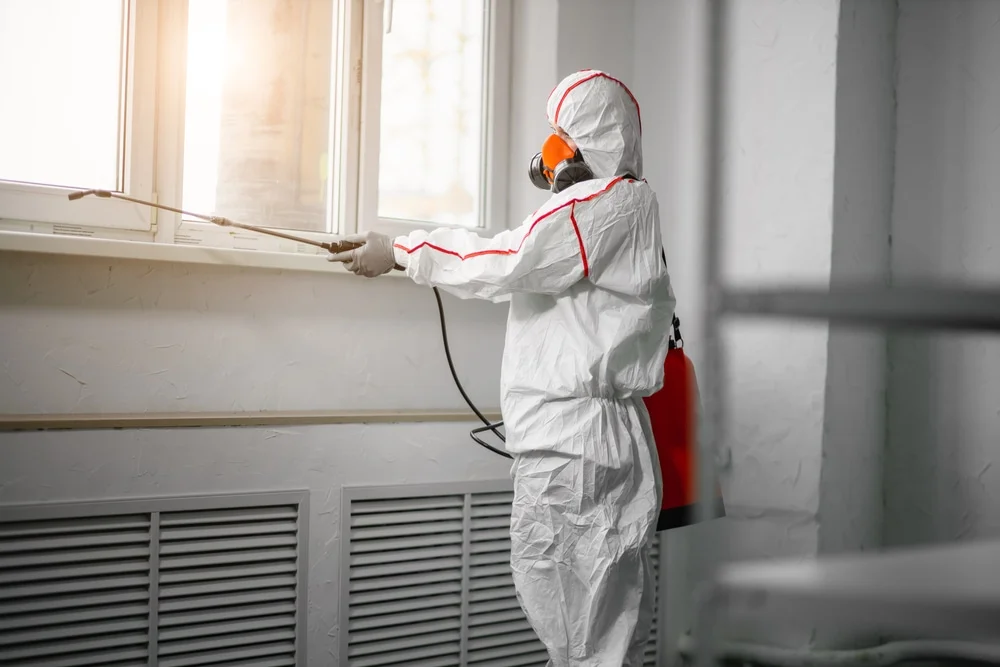 Professional mold remediation services in Lindon, UT